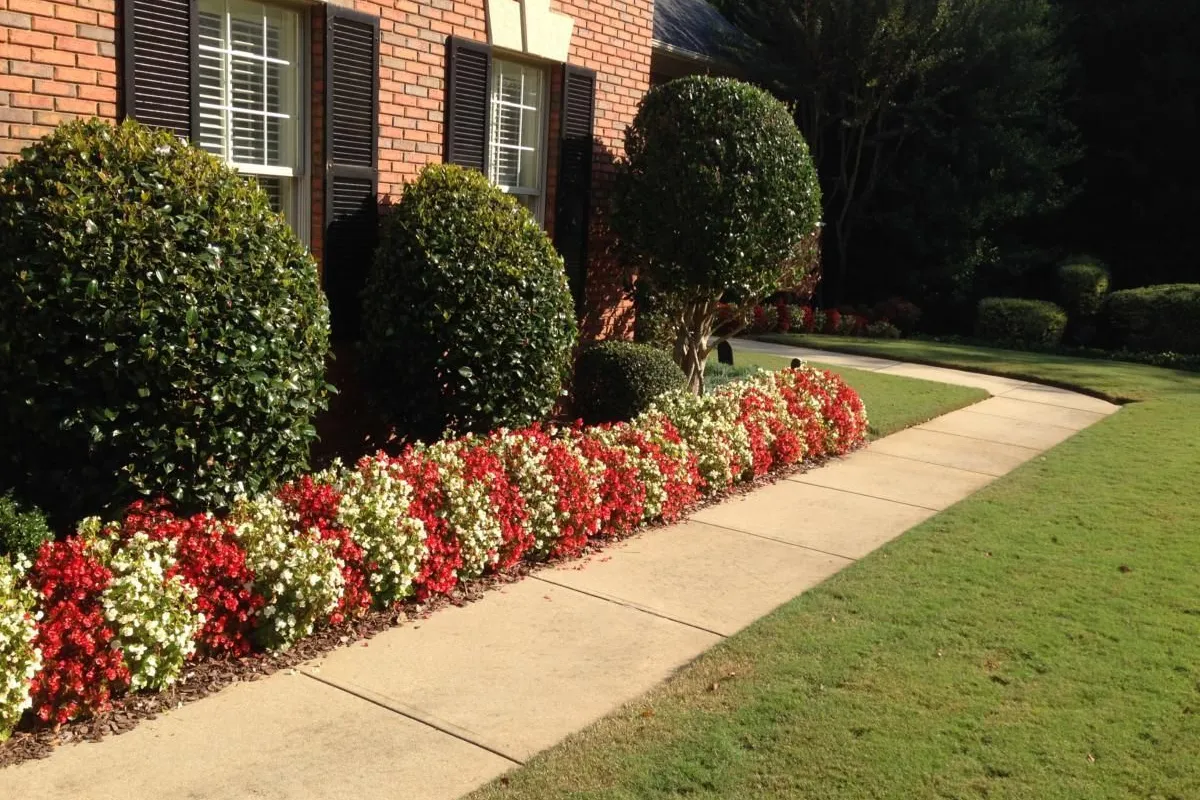 Planting beds and lawn design installed by 4 Seasons