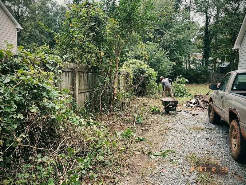 Thick underbrush at the edge of a Georgia property