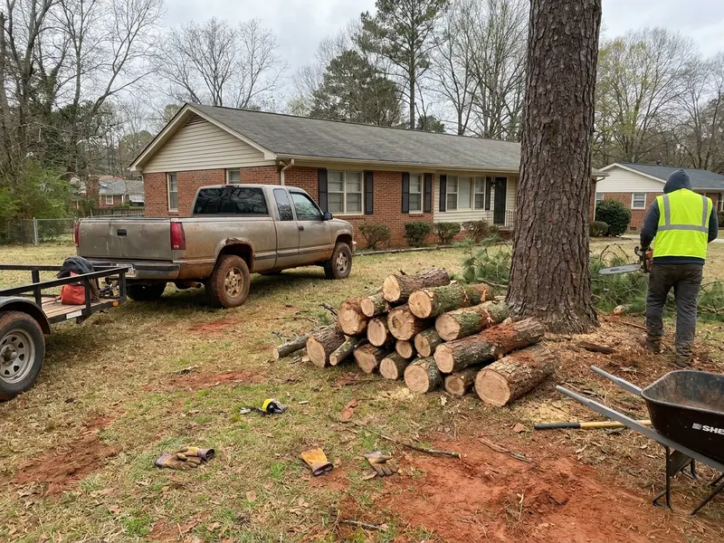 Cut limb sections stacked beside a tree removal
