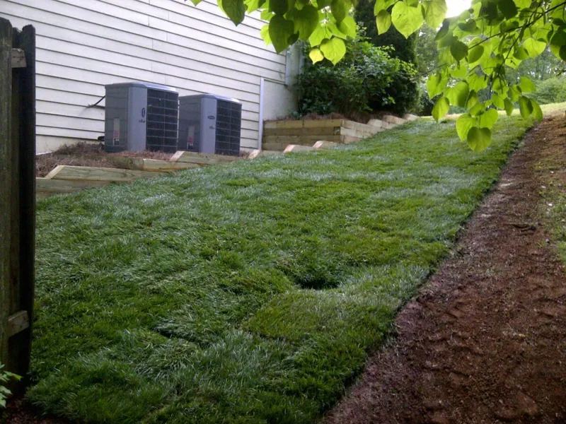 Fresh sod lawn installed by 4 Seasons